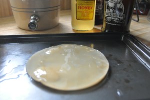This is what a SCOBY looks like