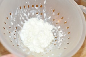 These are the milk kefir grains. I just add raw milk to the grains and let it sit in a warm place for 24 hours. Then I pour it through a strainer and start over with fresh milk.